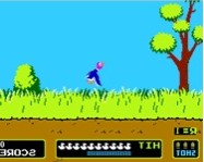 Duck hunt ingyen játék